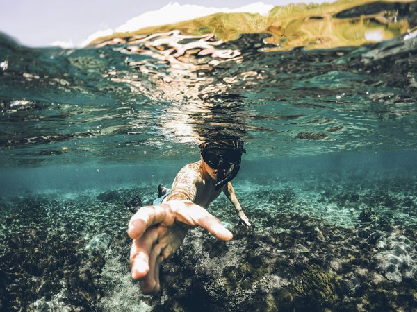 Où trouver les meilleurs spots de snorkeling à Hawaï ?